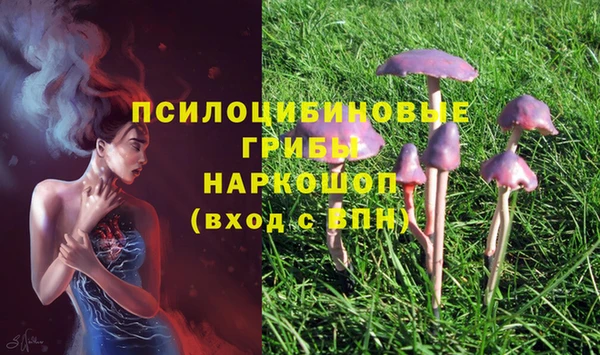 каннабис Алзамай