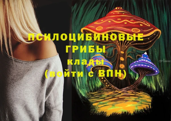 кокаин премиум Алексин